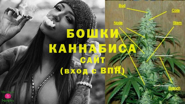 тгк Балахна