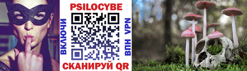 Галлюциногенные грибы Psilocybe  Славянск-на-Кубани 